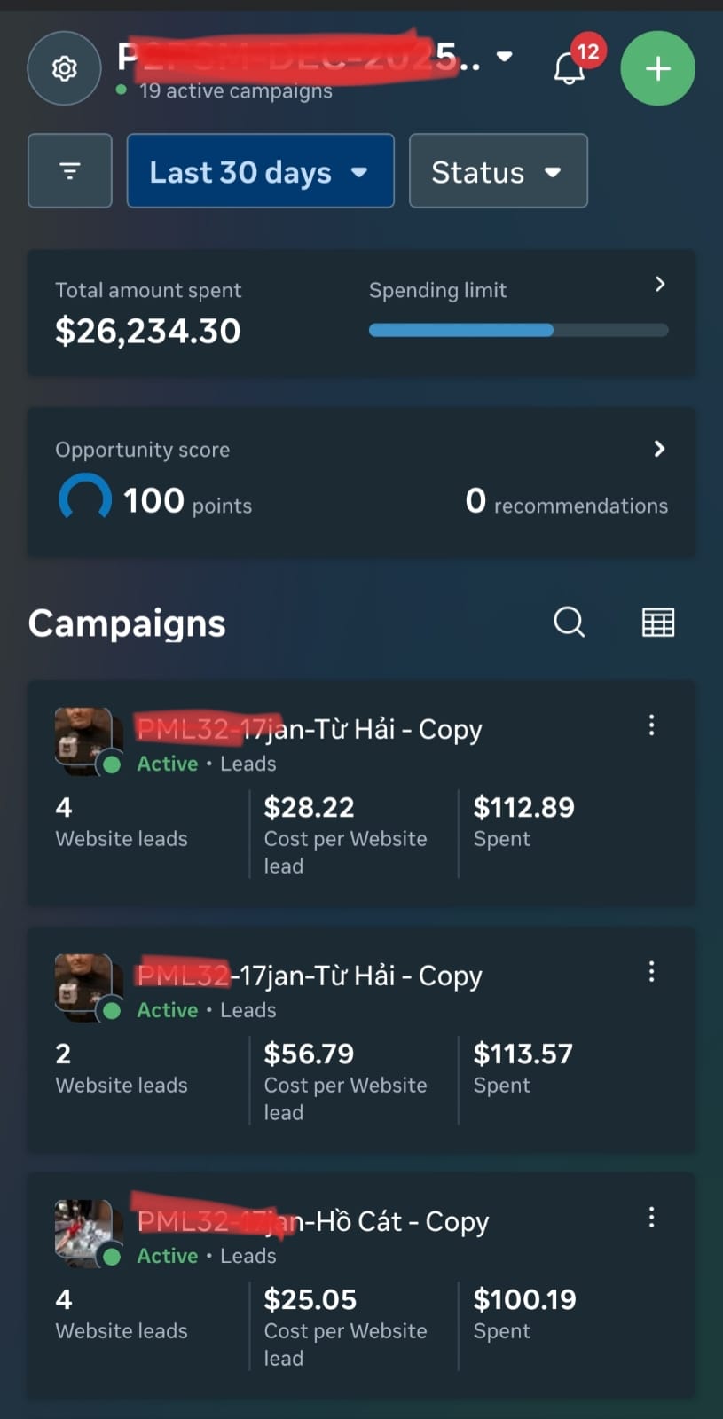 Meta Ads Campaign Dashboard showing $26,234 spend with active lead      
            generation campaigns